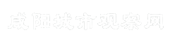咸阳城市观察网